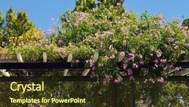  Presentation with rustic wood and flowers - Slide set enhanced with flowers on a wooden pergola background and a tawny brown colored foreground