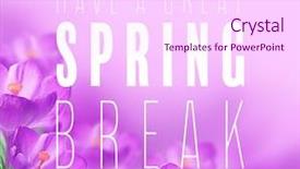  Presentation with spring break - Colorful slide set enhanced with flowers on color background additional backdrop and a  colored foreground