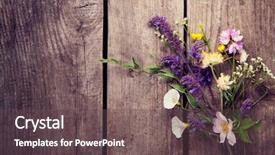  Presentation with blue mint - Audience pleasing presentation design consisting of flowers on old grunge blue backdrop and a tawny brown colored foreground