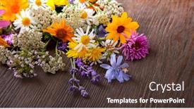  Presentation with thyme - Amazing PPT theme having flowers-on-old-grunge-wooden backdrop and a tawny brown colored foreground