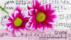  Presentation with abstract music - Presentation theme having flowers on sheet music - abstract background and a coral colored foreground