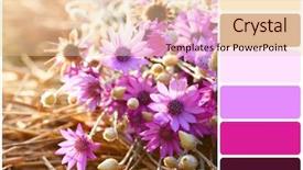  Presentation with straw - Audience pleasing presentation design consisting of flowers on straw and palette backdrop and a lemonade colored foreground