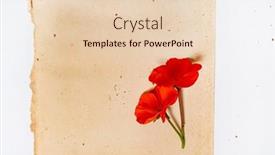  Presentation with vintage paper - Presentation enhanced with flowers-on-the-vintage-paper background and a lemonade colored foreground