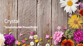  Presentation with garden - Theme enhanced with flowers over wooden table background background and a coral colored foreground