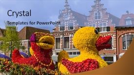  Presentation with tulips - Amazing slide set having flowers parade in haarlem netherlands backdrop and a light blue colored foreground