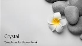  Presentation with baking light waem and a soft gre - Audience pleasing slides consisting of flowers spiritual - beautiful spa composition on light backdrop and a light gray colored foreground