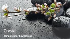  Presentation with zen stones - Amazing slides having flowers spiritual - wet zen spa stones backdrop and a gray colored foreground