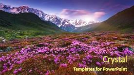  Presentation with mountains - Amazing presentation design having flowers spring - fantastic colorful sunset and bloom backdrop and a tawny brown colored foreground