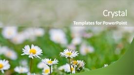 Presentation with italia - Slide deck consisting of flowers spring field background italia background and a gray colored foreground