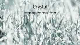  Presentation with beautiful flowers border floral design - Presentation theme having flowers suitable for floral background background and a  colored foreground