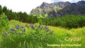  Presentation with gentian - Cool new slide set with flowers-willow-gentian-gentiana-asclepiadea backdrop and a tawny brown colored foreground