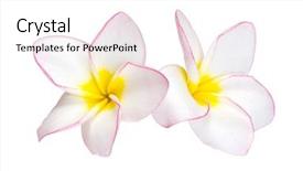  Presentation with tropical flowers - Presentation design enhanced with flowers background and a white colored foreground