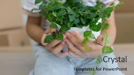  Presentation with intelligence intelligent house smart home - Colorful slide deck enhanced with flowersmoving background - little cute boy in empty backdrop and a  colored foreground