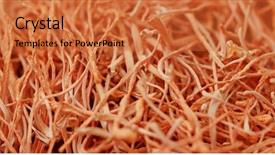  Presentation with stack - Cool new slides with flowersmoving background - stack of cordyceps backdrop and a red colored foreground