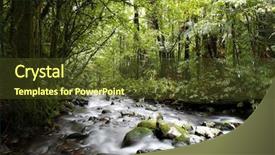  Presentation with forest stream - Presentation theme with flowing in lush new zealand background and a  colored foreground
