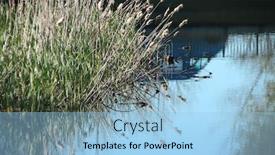  Presentation with river flowing - PPT layouts having flowing-water-the-river background and a light blue colored foreground