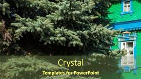  Presentation with growing tree - Audience pleasing slide set consisting of fluffy-blue-spruce-tree-growing backdrop and a tawny brown colored foreground