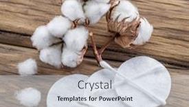  Presentation with cotton - PPT theme enhanced with fluffy-cotton-ball-and-cotton background and a sky blue colored foreground