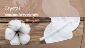  Presentation with cotton - Amazing PPT theme having fluffy cotton ball and cotton backdrop and a coral colored foreground