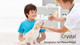  Presentation with veterinary medicine - Amazing slide deck having fluffy dog at the veterinary backdrop and a lemonade colored foreground