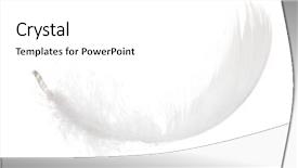  Presentation with feather - Audience pleasing PPT theme consisting of fluffy feather isolated on white background backdrop and a white colored foreground