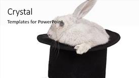  Presentation with top hat - Presentation theme having fluffy long-eared rabbit background and a white colored foreground