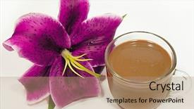  Presentation with milk - Amazing theme having fluid balance - cup of milk backdrop and a coral colored foreground