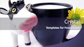  Presentation with war roses tudor rose - Cool new presentation theme with fluid balance - milk and roses backdrop and a wine colored foreground