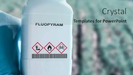  Presentation with soybeans - PPT theme enhanced with fluopyram-a-fungicide-used background and a light blue colored foreground