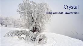  Presentation with winter river - Audience pleasing theme consisting of flurried - frozen river and trees backdrop and a  colored foreground