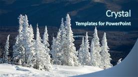  Presentation with snow covered trees and falling - Slide deck enhanced with flurried - image of beautiful trees covered background and a  colored foreground