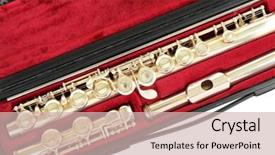  Presentation with flute - Presentation with flute-in-case-close-up background and a soft green colored foreground