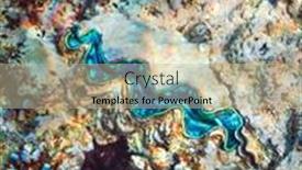  Presentation with clam - Audience pleasing slide deck consisting of fluted-giant-clam backdrop and a mint green colored foreground