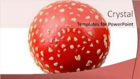  Presentation with fly - PPT theme featuring fly-agaric-isolated-on-white background and a coral colored foreground