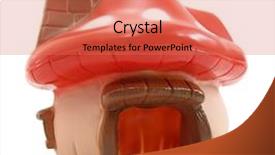  Presentation with pets - Slides enhanced with fly agaric mushroom house background and a coral colored foreground