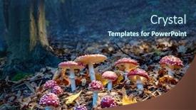  Presentation with glow - Theme enhanced with fly-agarics-glow background and a ocean colored foreground