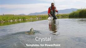  Presentation with montana - Amazing PPT layouts having fly fisherman catching brown trout in river of montana state backdrop and a gray colored foreground