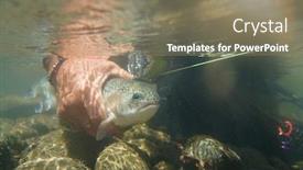  Presentation with fisherman - Amazing slide set having fly-fisherman-in-summer-catching backdrop and a coral colored foreground