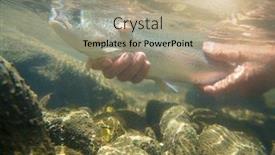  Presentation with fisherman - Cool new slide set with fly-fisherman-in-summer-catching backdrop and a coral colored foreground