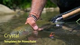  Presentation with trout - Slide set having fly-fisherman-in-summer-catching background and a tawny brown colored foreground