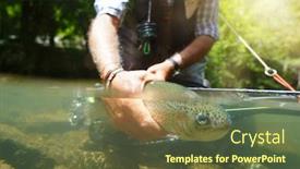  Presentation with trout - Presentation featuring fly-fisherman-in-summer-catching background and a tawny brown colored foreground