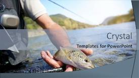  Presentation with trout - Amazing PPT theme having fly-fisherman-in-summer-catching backdrop and a light blue colored foreground