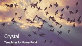  Presentation with vintage retro - Presentation having fly under a beautiful cloud background and a gray colored foreground