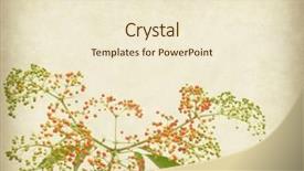  Presentation with yellow wood texture and - Audience pleasing PPT layouts consisting of flyer autumn - bunch of yellow rowan backdrop and a cream colored foreground