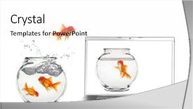  Presentation with 3d virtual world - PPT theme featuring flying away - joining the virtual world background and a white colored foreground