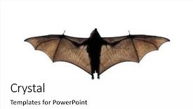  Presentation with flying - Cool new presentation theme with flying bat backdrop and a white colored foreground