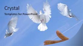  Presentation with dove - Theme consisting of flying dove - pigeons in the sky background and a light blue colored foreground