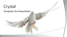  Presentation with dove - Amazing PPT theme having flying bird of dove peacock backdrop and a white colored foreground