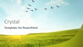  Presentation with birds flying - Slide set with flying birds over a green field at sunset background and a sky blue colored foreground