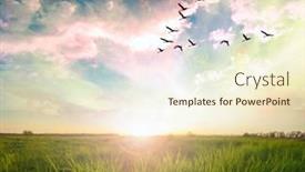  Presentation with flying - Amazing presentation design having flying-birds-over-a-green backdrop and a cream colored foreground